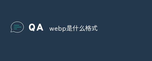 web是什么意思網(wǎng)絡用語(web是什么意思英文)